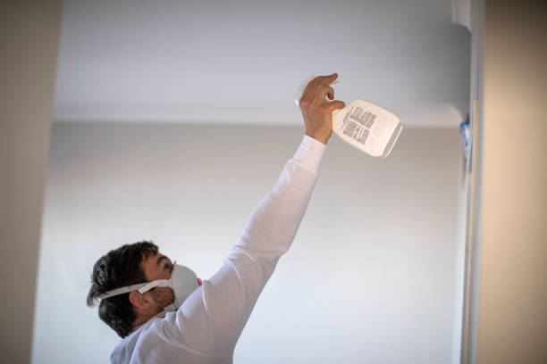 Trusted Brushy Creek, TX Mold Remediation Experts